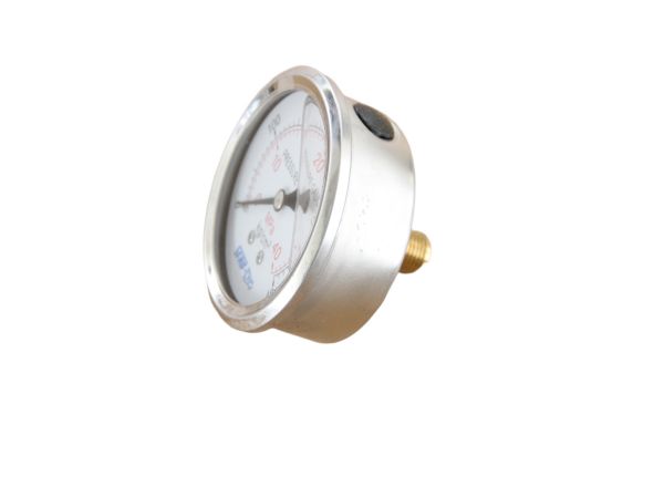 Pressure display gauge